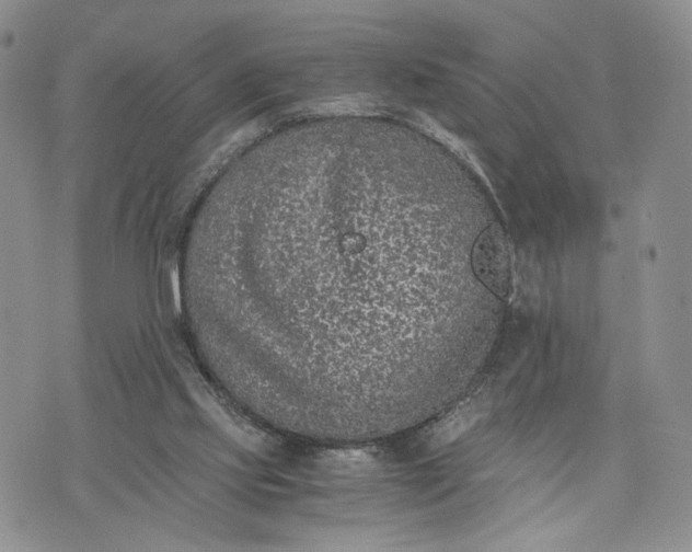 X0000073450061200608111400