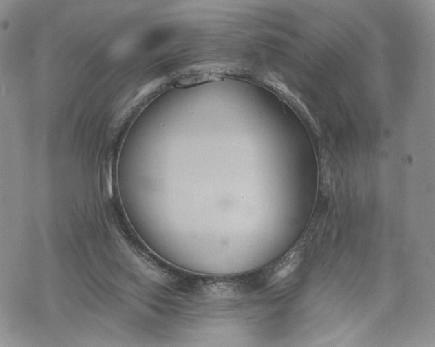 X0000073450062200608111400