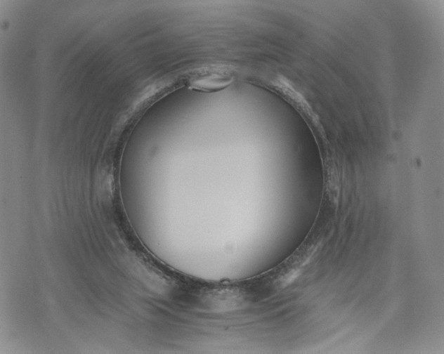 X0000073450063200608111400