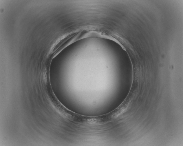 X0000073450064200608111400