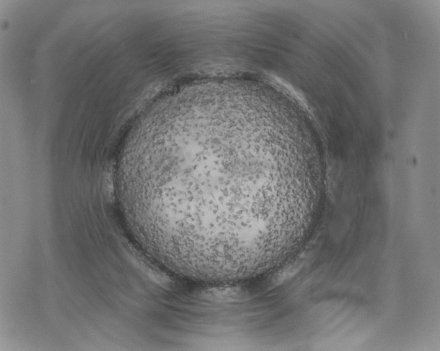 X0000073450065200608111400