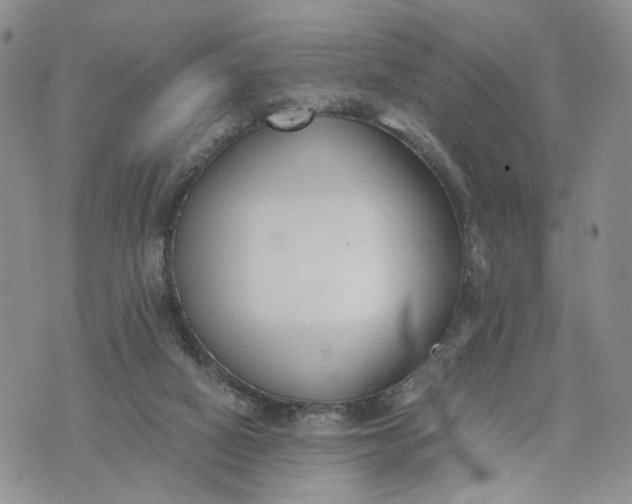 X0000073450066200608111400