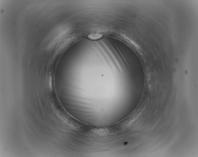 X0000073450067200608111400