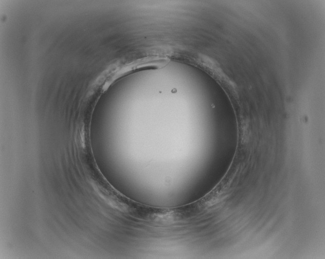 X0000073450068200608111400