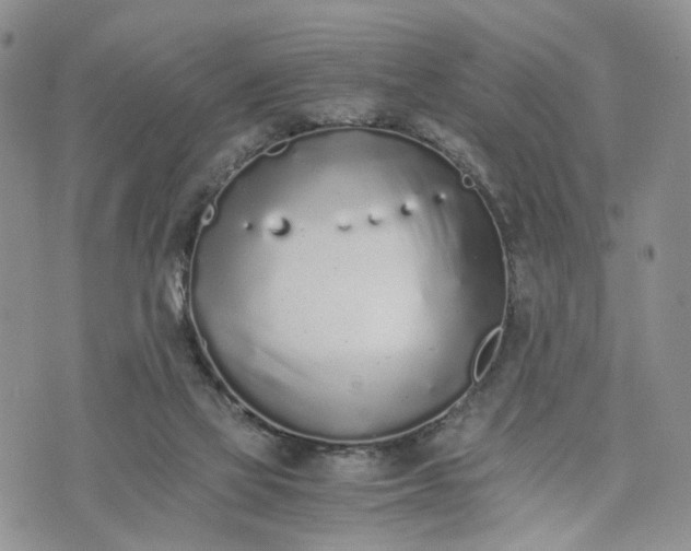 X0000073450069200608111400