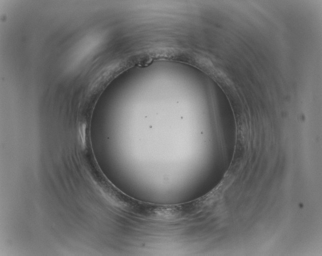 X0000073450070200608111400