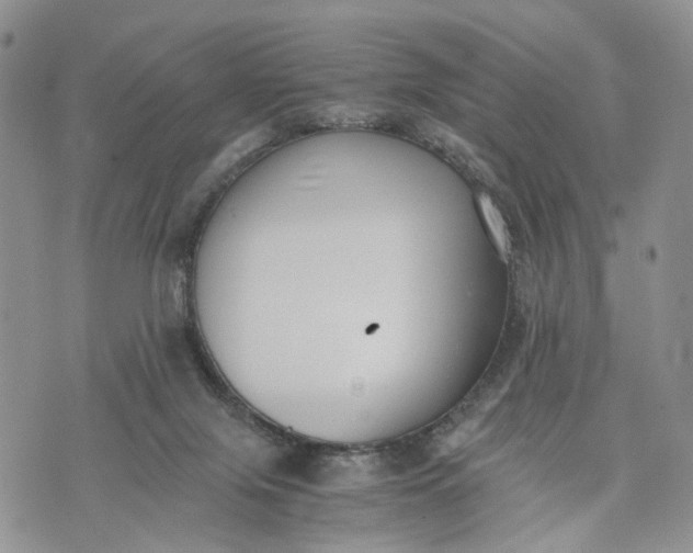 X0000073450071200608111401