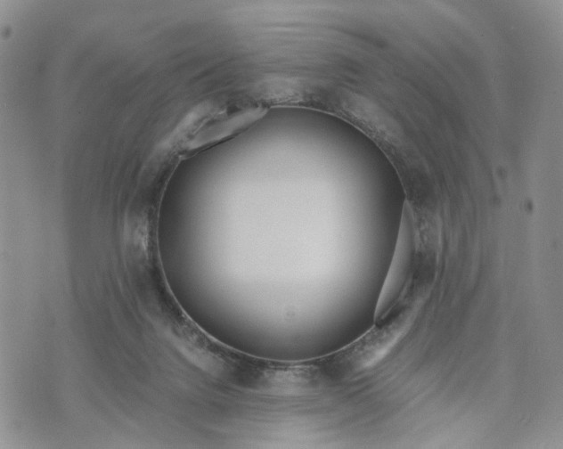 X0000073450072200608111401