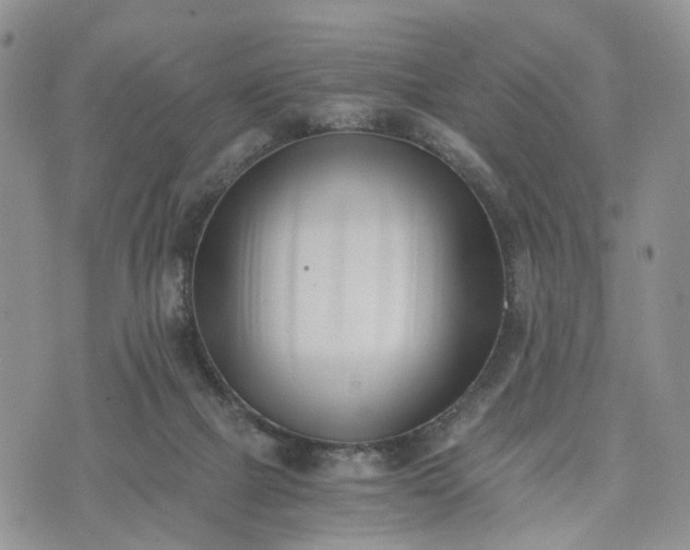 X0000073450073200608111401