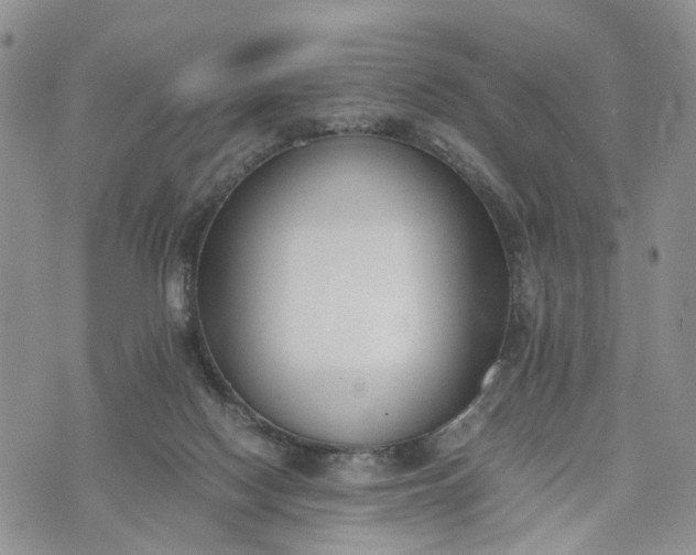 X0000073450074200608111401