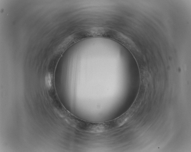 X0000073450075200608111401