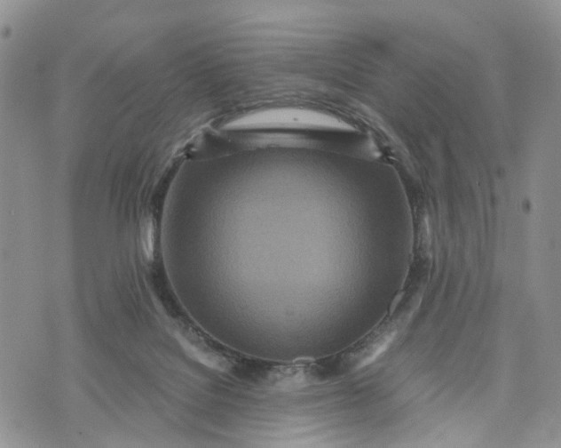 X0000073450076200608111401