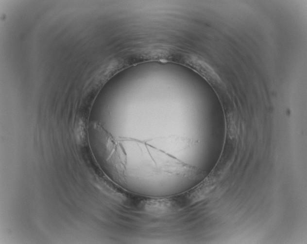 X0000073450077200608111401