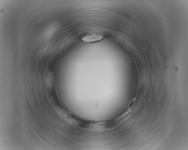 X0000073450078200608111401