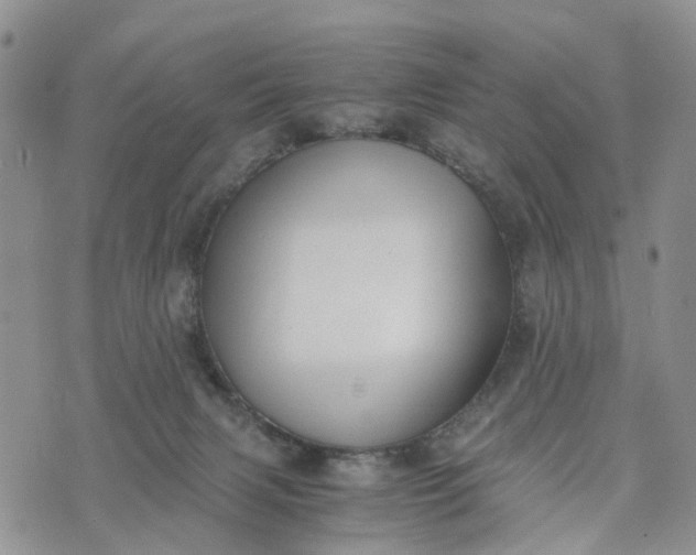 X0000073450079200608111401