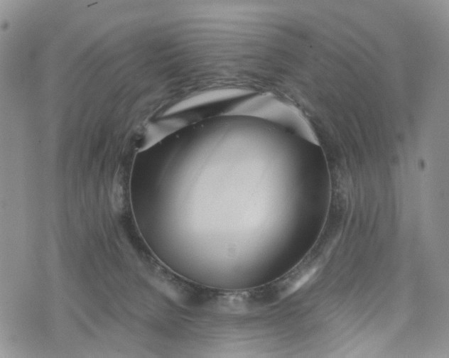 X0000073450080200608111401