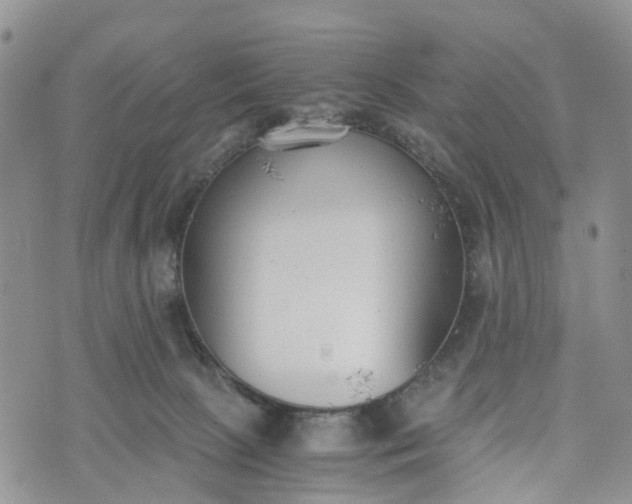 X0000073450081200608111401