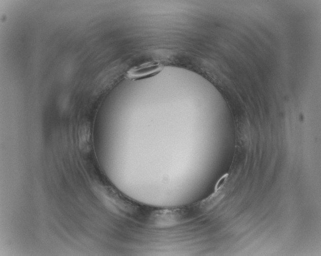 X0000073450082200608111401