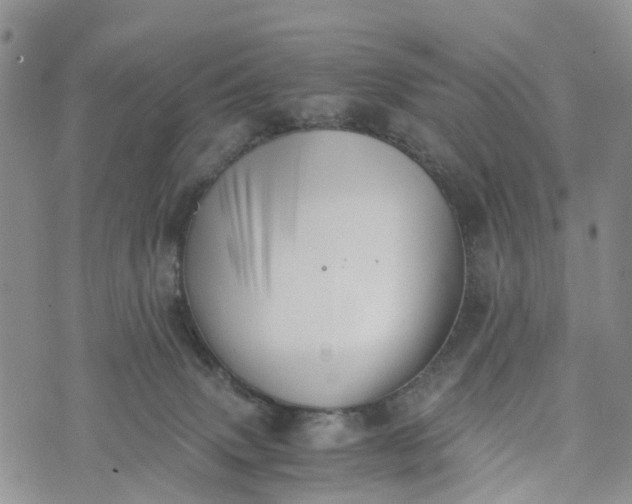 X0000073450083200608111401