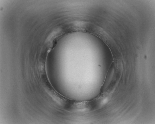 X0000073450084200608111401