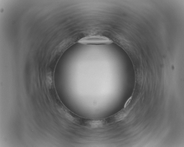 X0000073450085200608111401