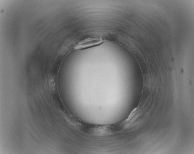 X0000073450086200608111401