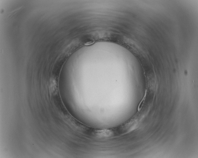 X0000073450087200608111401