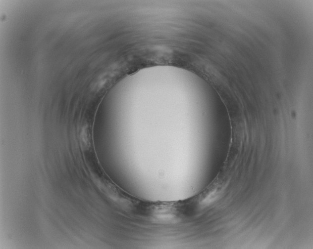 X0000073450088200608111401