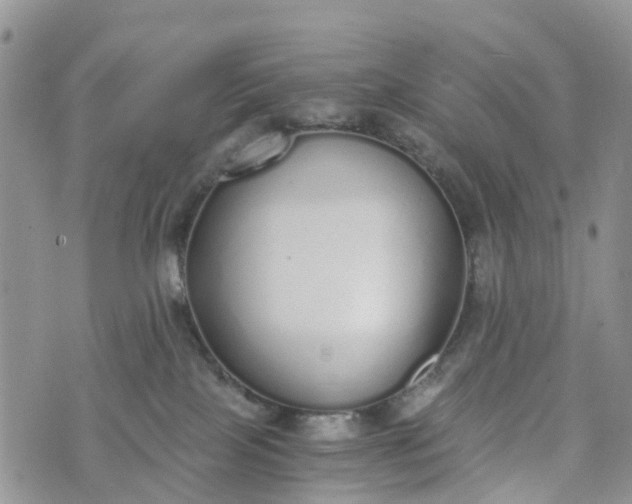 X0000073450089200608111401