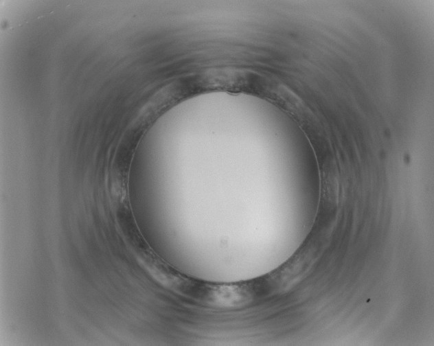 X0000073450091200608111401