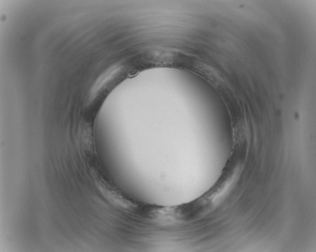 X0000073450092200608111401