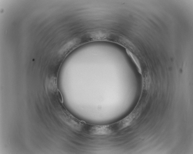 X0000073450093200608111401