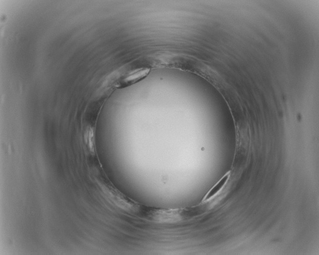 X0000073450094200608111401