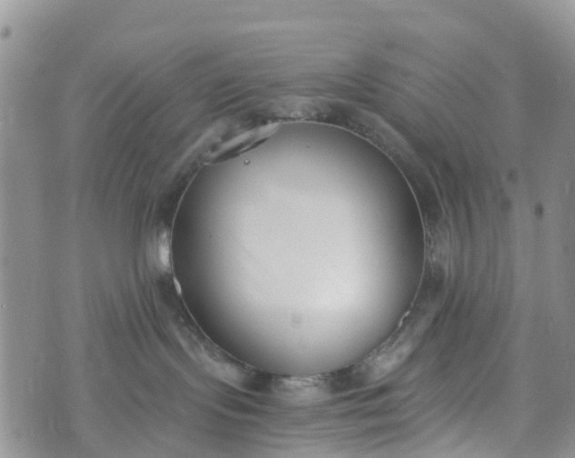 X0000073450095200608111401