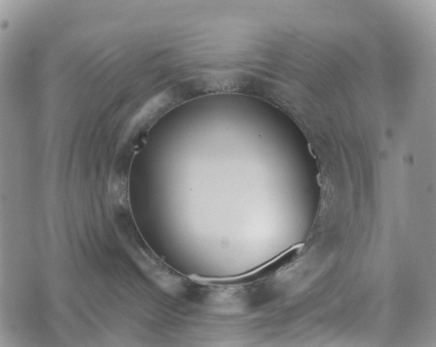 X0000073450096200608111401