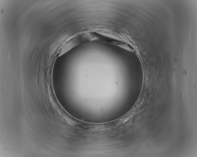 X0000073450097200608111400