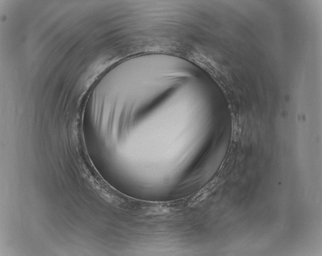 X0000073450098200608111400