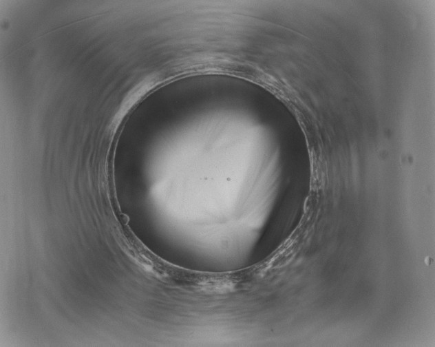 X0000073450099200608111400