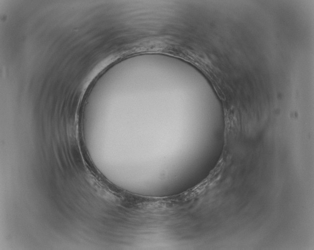 X0000073450100200608111400