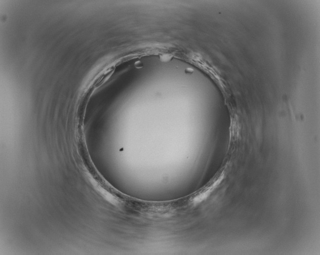 X0000073450101200608111400