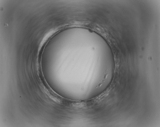 X0000073450102200608111400