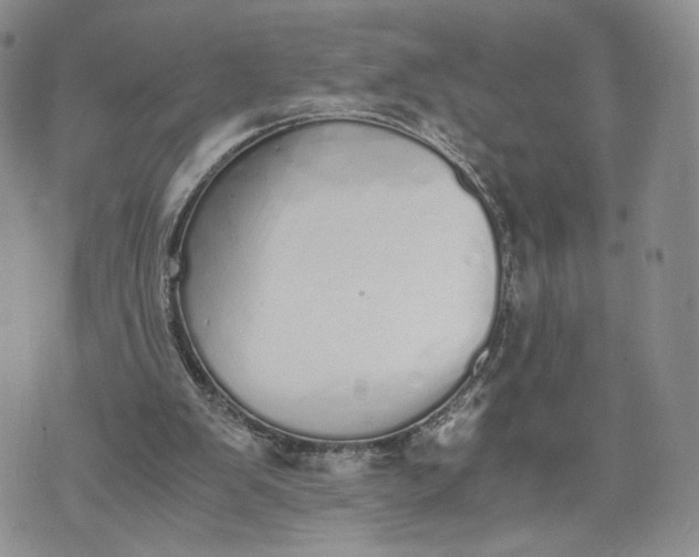 X0000073450103200608111400