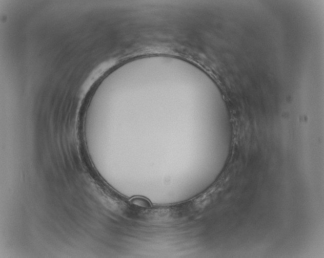 X0000073450104200608111400