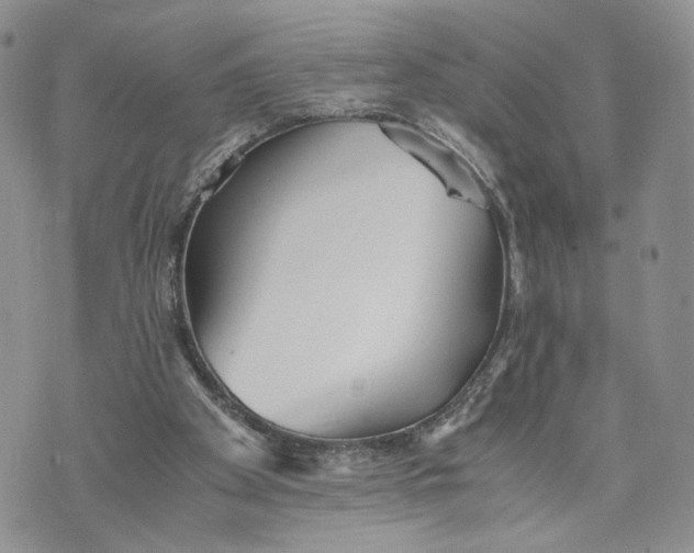 X0000073450105200608111400