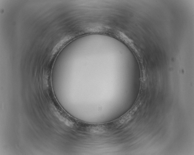 X0000073450106200608111400