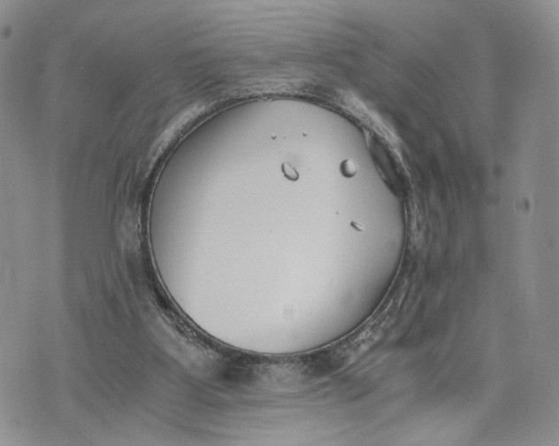 X0000073450107200608111400