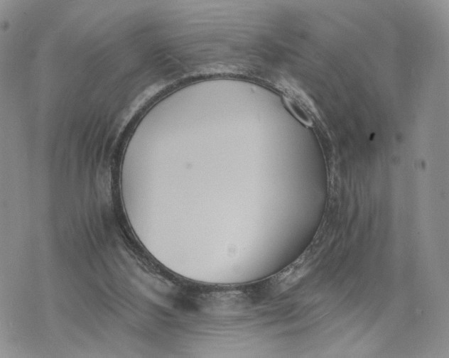 X0000073450108200608111400