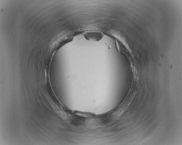 X0000073450109200608111400