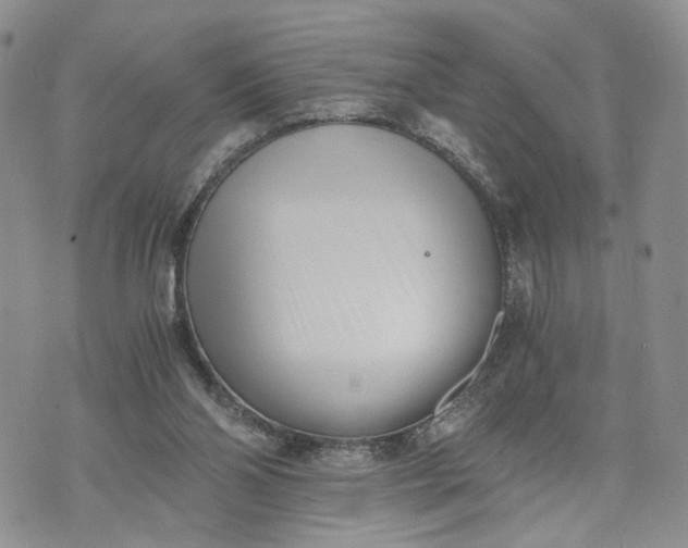 X0000073450110200608111400