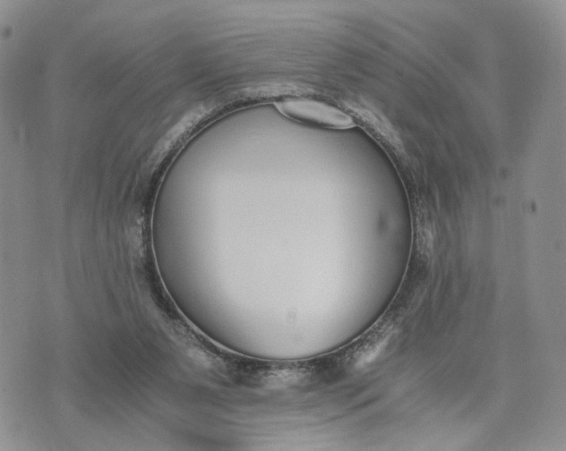 X0000073450111200608111400